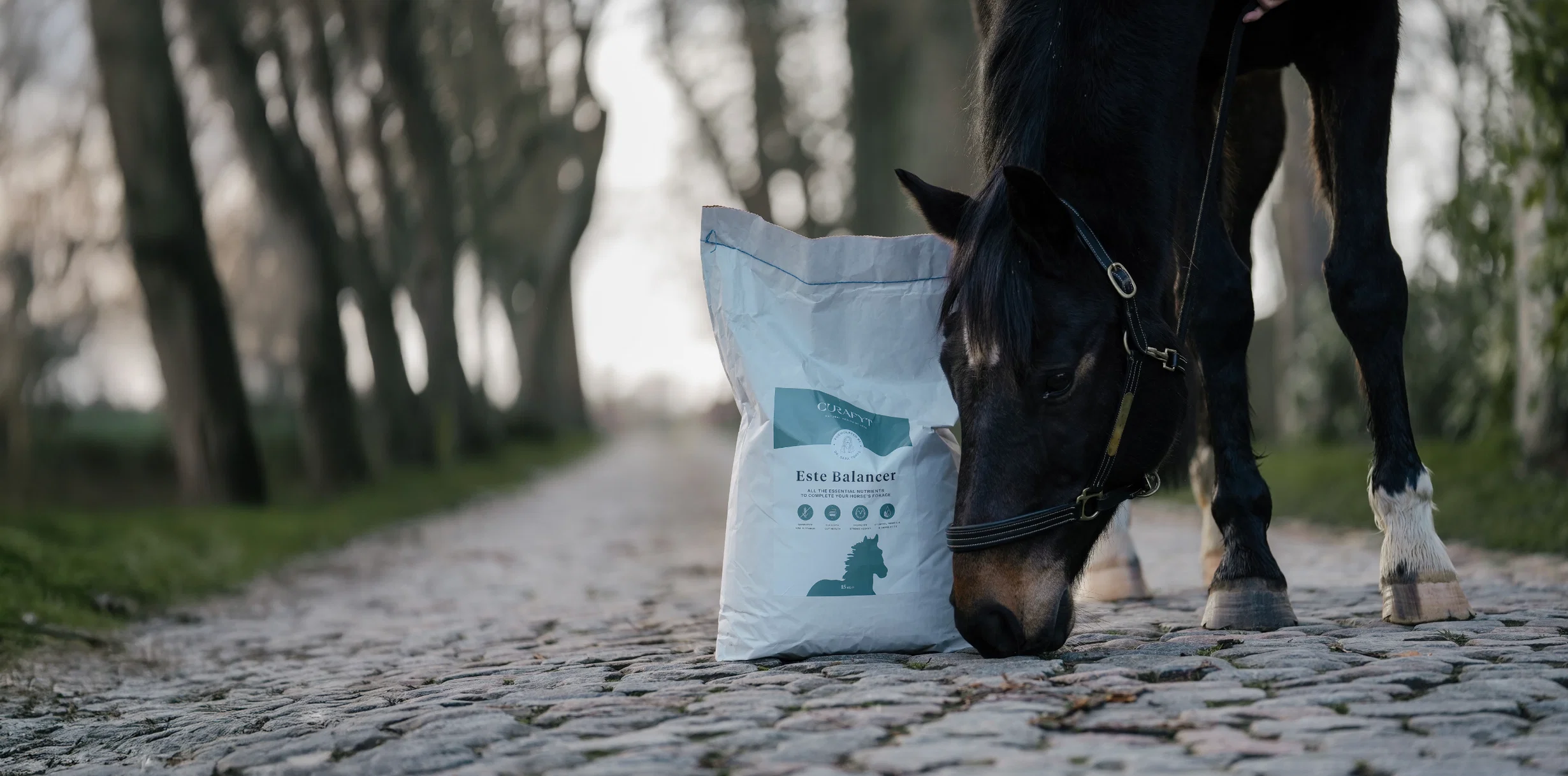 Pure Vitality for Your Best Friends
