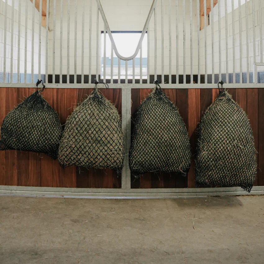 Horse supplements and products